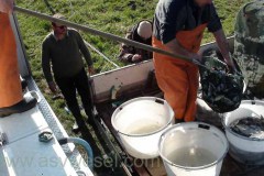 DSC00098