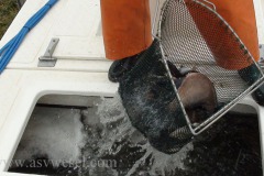DSC00050