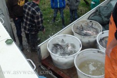DSC00052