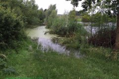 IMG_1365