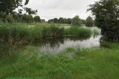 IMG_1367