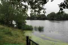 IMG_1370