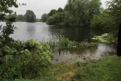 IMG_1374