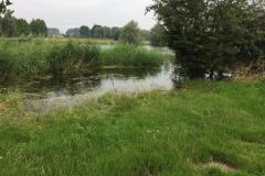 IMG_1400