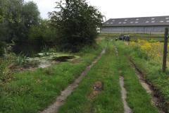 IMG_1402