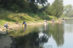 IMG_0388