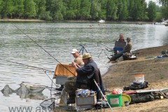 IMG_0311