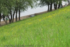 IMG_0325