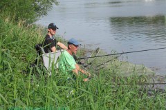 IMG_0950