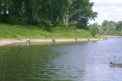 DSC00002
