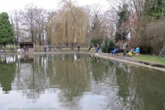 IMG_0062