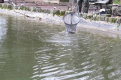 IMG_0092