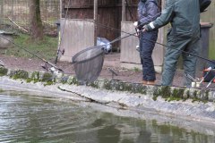 IMG_0096