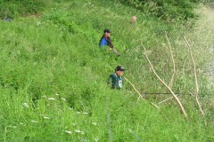 IMG_0968