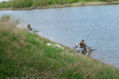 IMG_0389