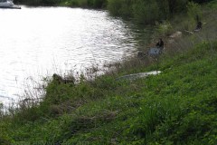 IMG_0907