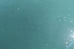 PXL_20230617_115650285