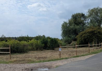 Erfolgreicher Arbeitseinsatz beim ASV Wesel
